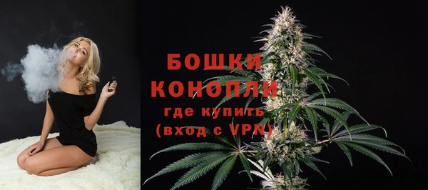прущие грибы Покровск