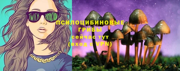 каннабис Алзамай