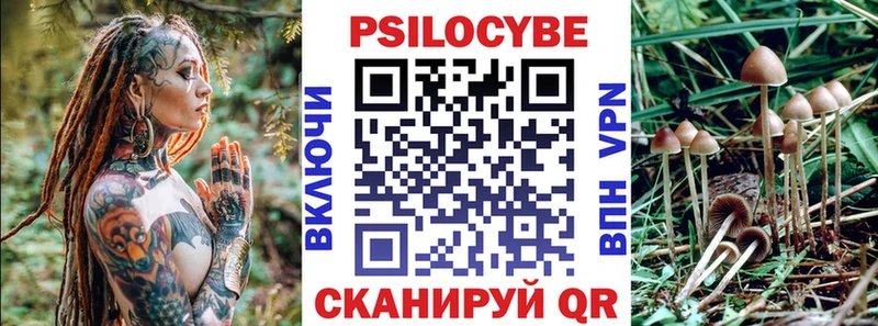 купить закладку Ипатово Галлюциногенные грибы мицелий